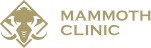 MAMMOTH CLINIC